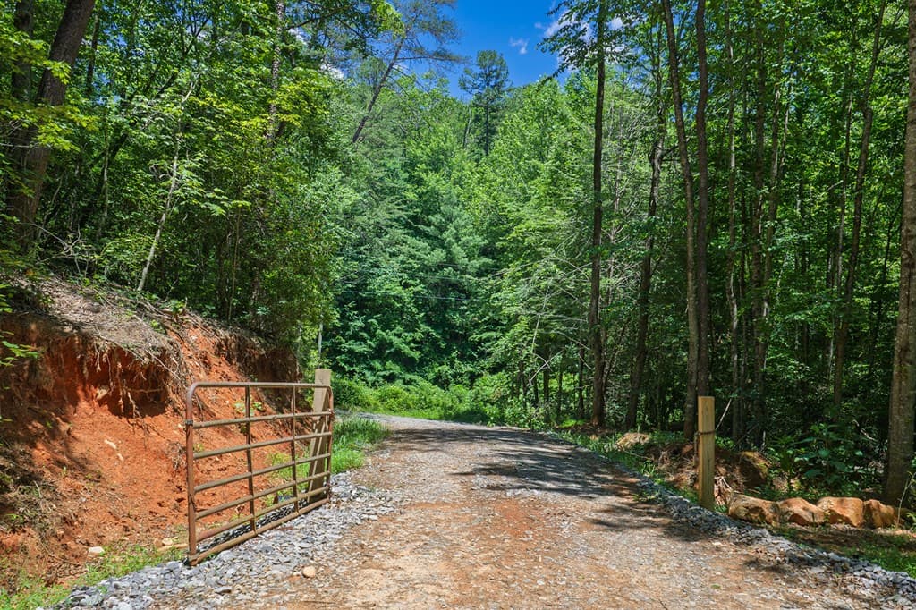 0 Pole Coffee, Ellijay GA 30536 - Photo