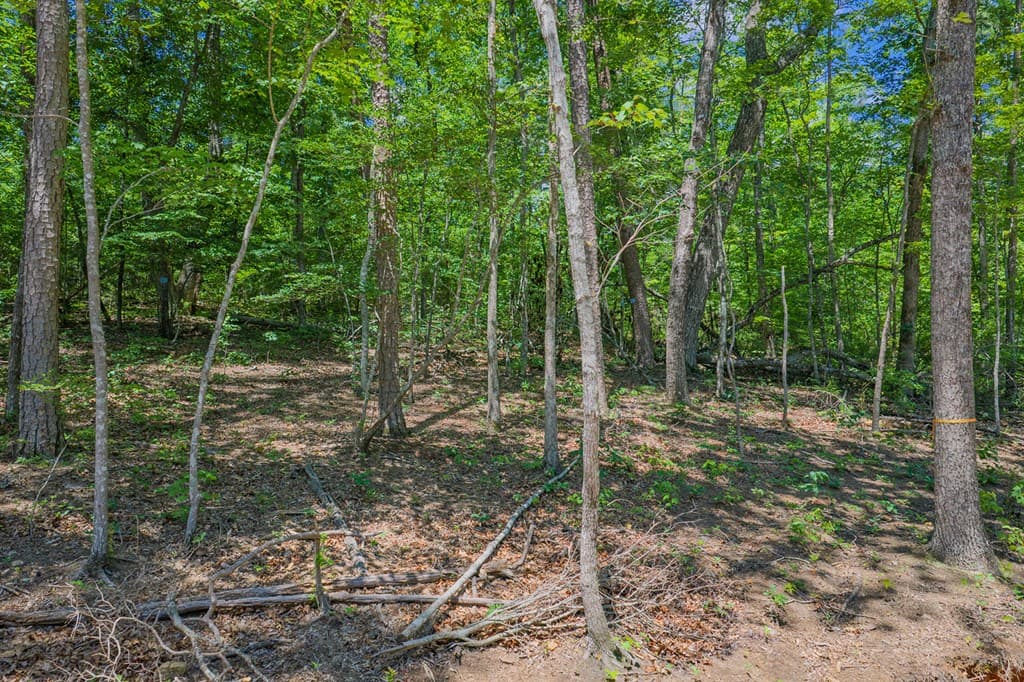 0 Pole Coffee, Ellijay GA 30536 - Photo
