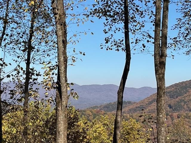 1189 Walnut Ridge, Ellijay GA 30536 - Photo