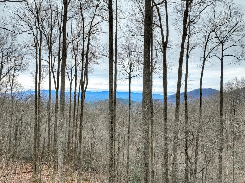 1189 Walnut Ridge, Ellijay GA 30536 - Photo