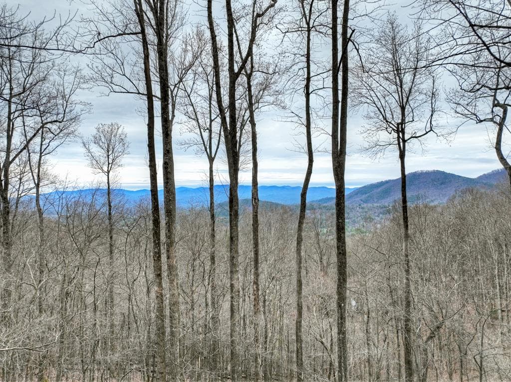 1189 Walnut Ridge, Ellijay GA 30536 - Photo