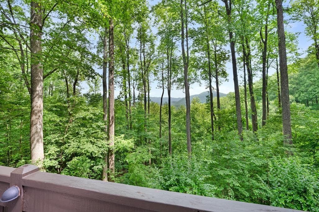 1189 Walnut Ridge, Ellijay GA 30536 - Photo