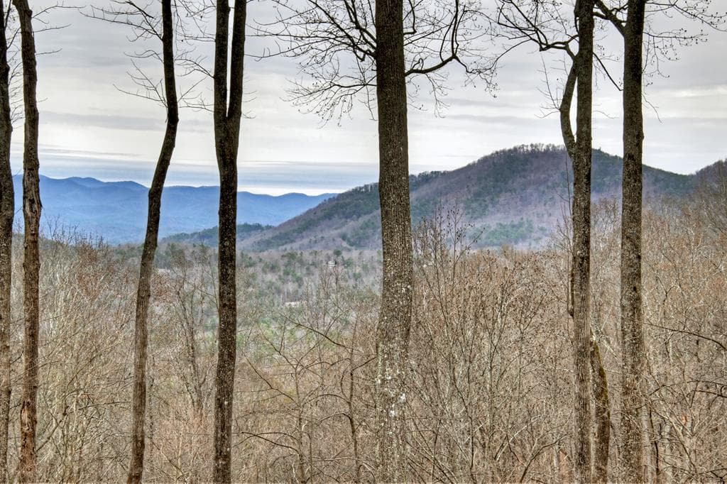 1189 Walnut Ridge, Ellijay GA 30536 - Photo