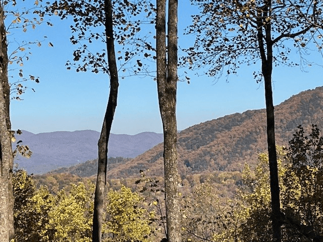 1189 Walnut Ridge, Ellijay GA 30536 - Photo
