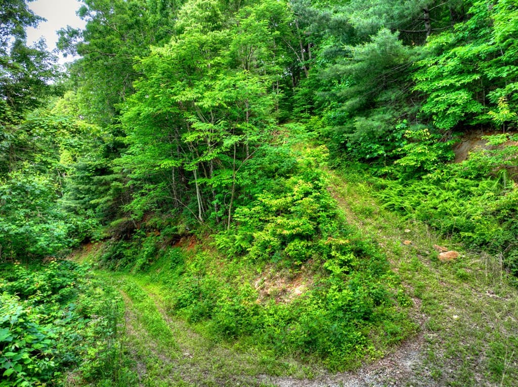 35 Utana Bluff Trails, Ellijay GA 30540 - Photo