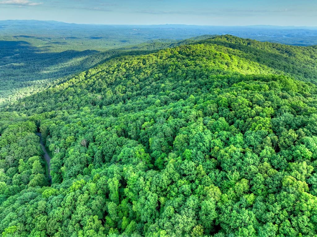 35 Utana Bluff Trails, Ellijay GA 30540 - Photo