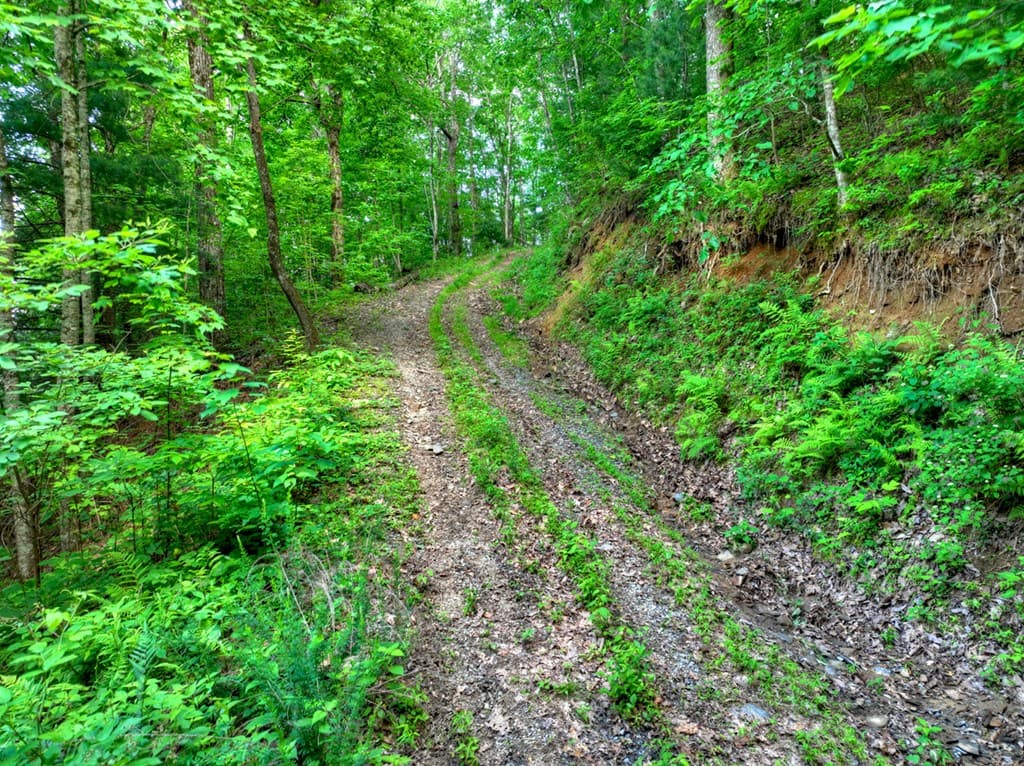 35 Utana Bluff Trails, Ellijay GA 30540 - Photo