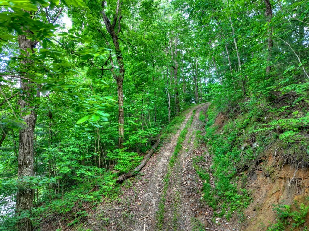 35 Utana Bluff Trails, Ellijay GA 30540 - Photo