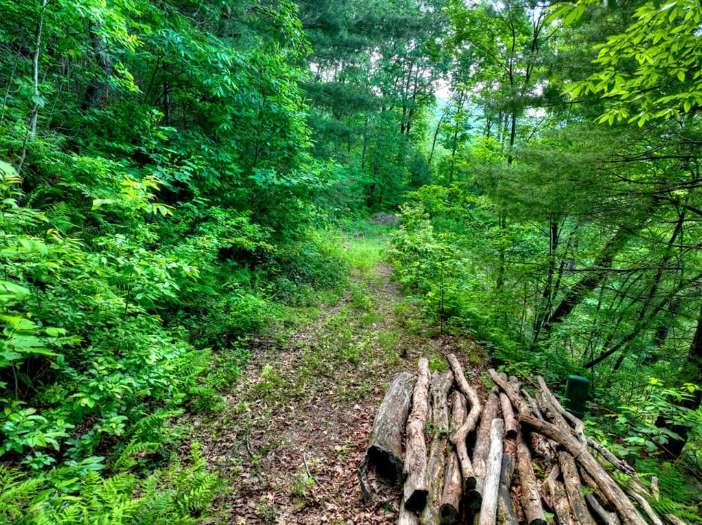 35 Utana Bluff Trails, Ellijay GA 30540 - Photo