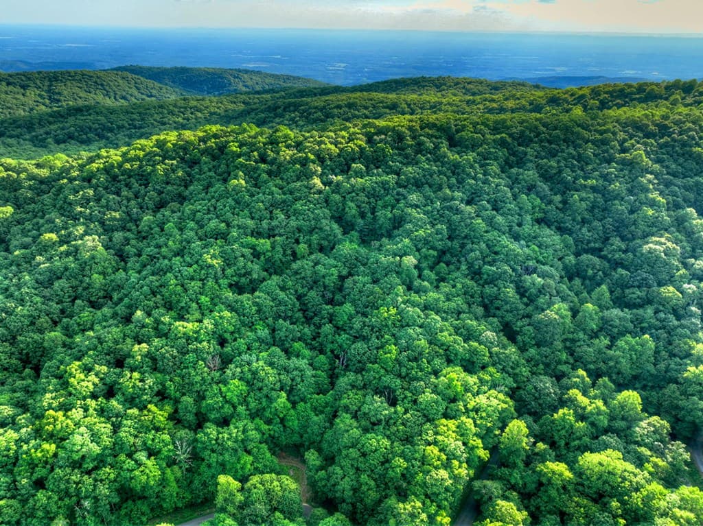 35 Utana Bluff Trails, Ellijay GA 30540 - Photo
