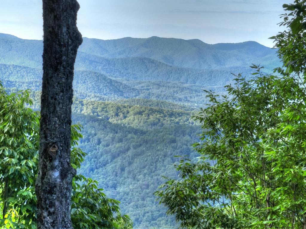 35 Utana Bluff Trails, Ellijay GA 30540 - Primary photo