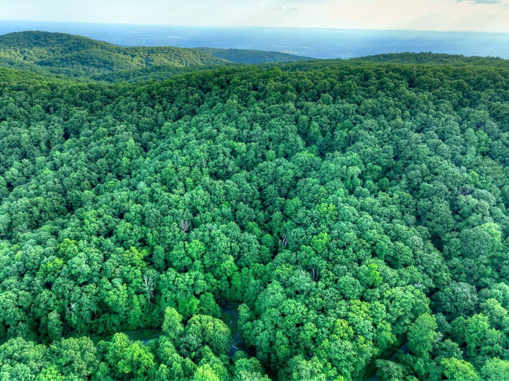 35 Utana Bluff Trails, Ellijay GA 30540 - Photo
