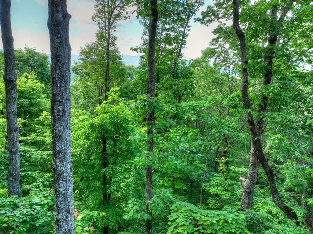 35 Utana Bluff Trails, Ellijay GA 30540 - Photo