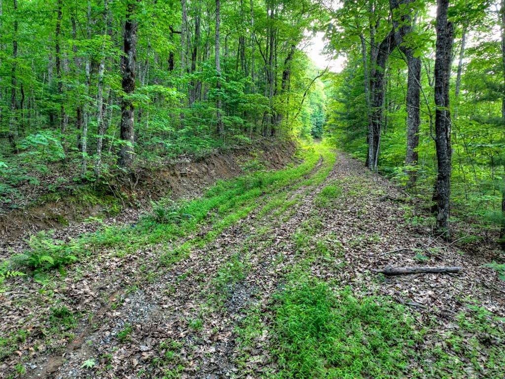 35 Utana Bluff Trails, Ellijay GA 30540 - Photo