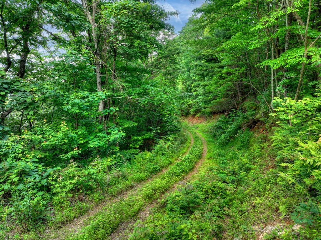 35 Utana Bluff Trails, Ellijay GA 30540 - Photo