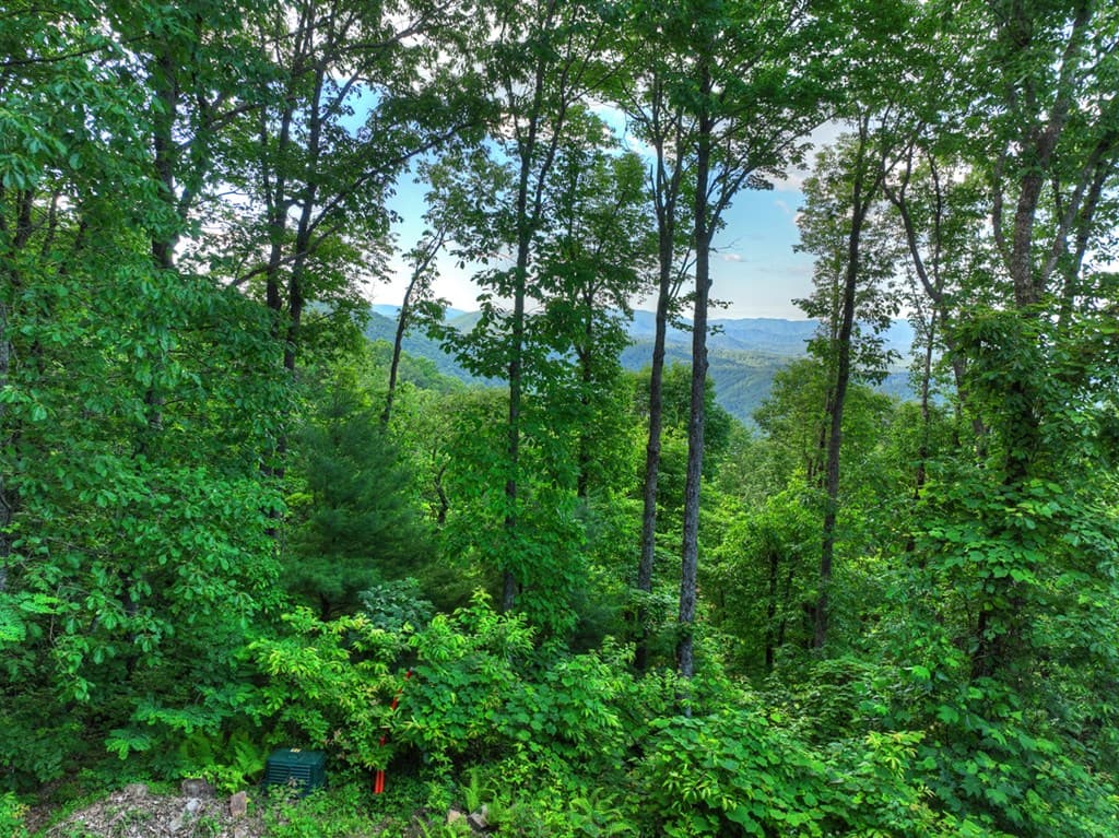 35 Utana Bluff Trails, Ellijay GA 30540 - Photo