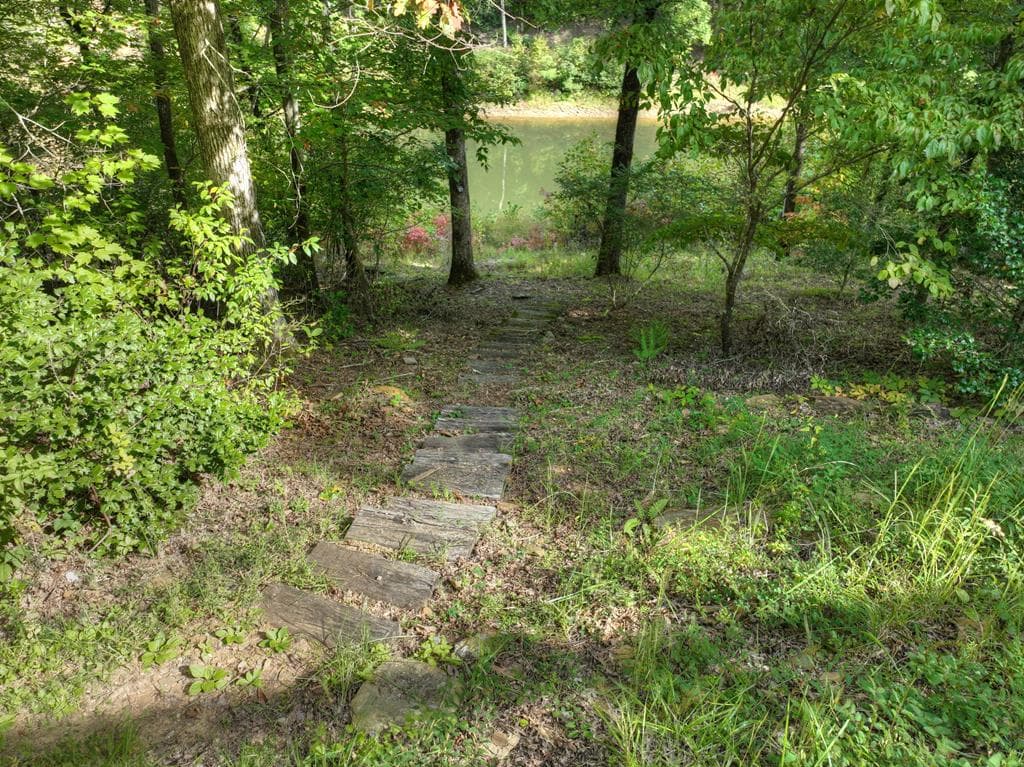210 Indian Lake Road, Mineral Bluff GA 30559 - Photo