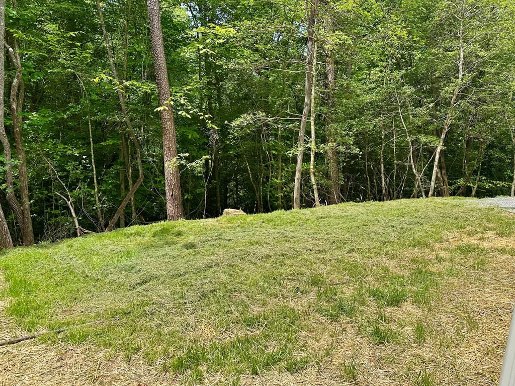 101 Sawyer Ridge Lane, Hayesville NC 28904 - Photo