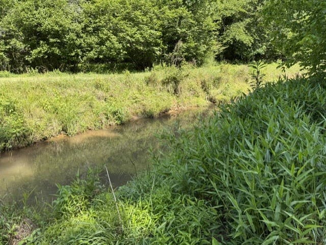 0 Lot 6 Clear Creek Preserve Way, Ellijay GA 30536 - Photo