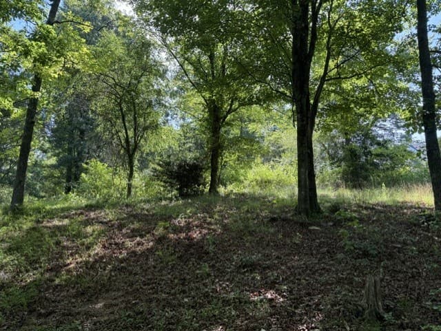 0 Lot 6 Clear Creek Preserve Way, Ellijay GA 30536 - Photo