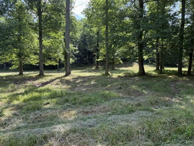 0 Lot 6 Clear Creek Preserve Way, Ellijay GA 30536 - Photo