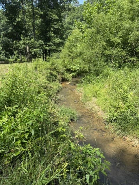 0 Lot 6 Clear Creek Preserve Way, Ellijay GA 30536 - Photo