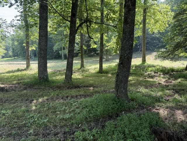 0 Lot 6 Clear Creek Preserve Way, Ellijay GA 30536 - Primary photo