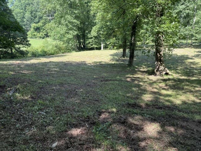 0 Lot 6 Clear Creek Preserve Way, Ellijay GA 30536 - Photo