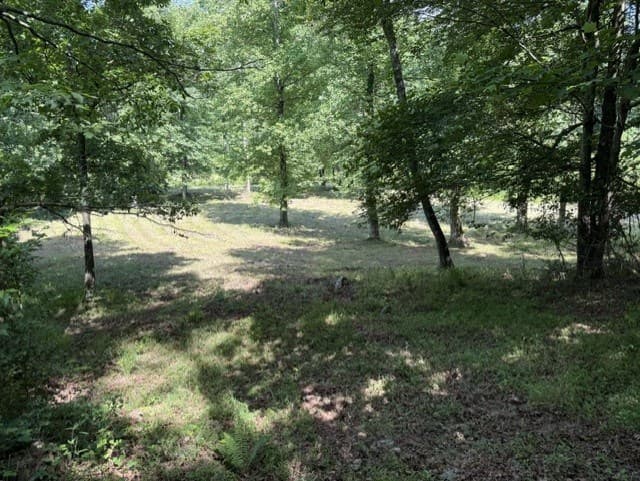0 Lot 6 Clear Creek Preserve Way, Ellijay GA 30536 - Photo