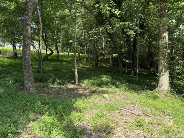 0 Lot 6 Clear Creek Preserve Way, Ellijay GA 30536 - Photo