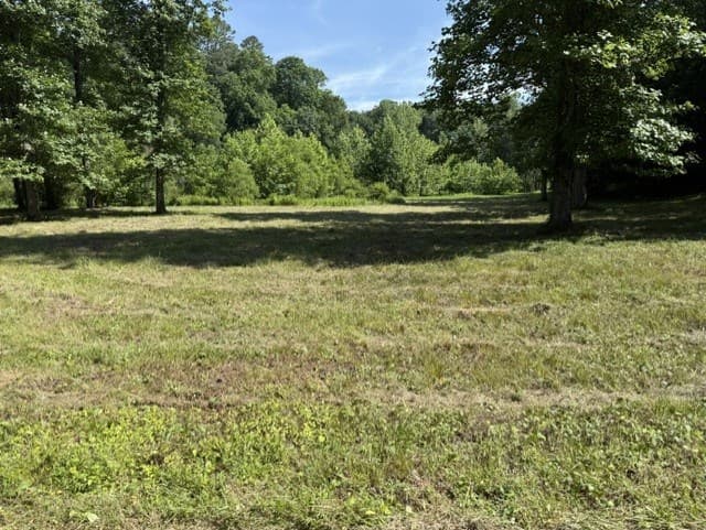 0 Lot 6 Clear Creek Preserve Way, Ellijay GA 30536 - Photo