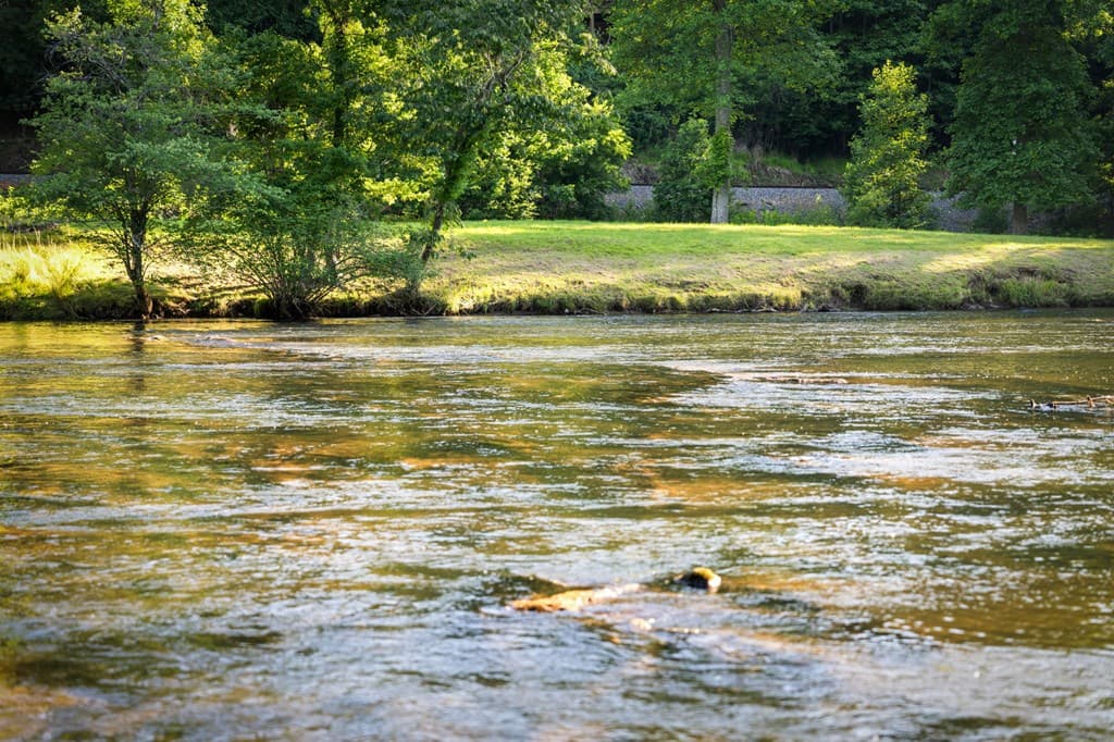 2.48 Acr Valley Lane, Mineral Bluff GA 30559 - Photo