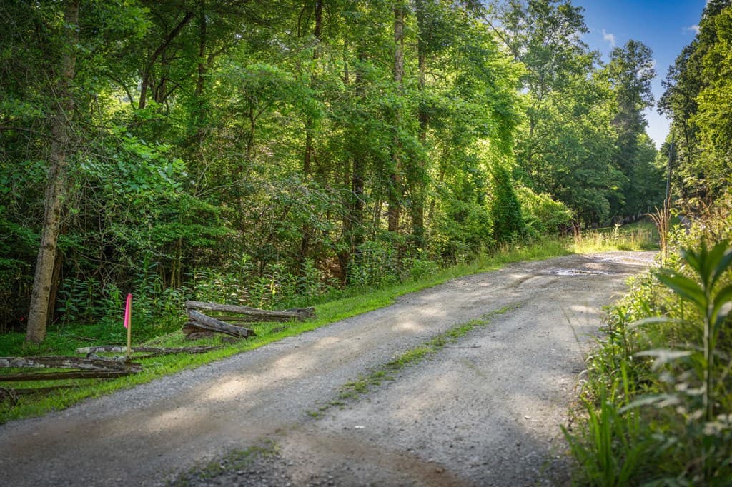 2.48 Acr Valley Lane, Mineral Bluff GA 30559 - Photo