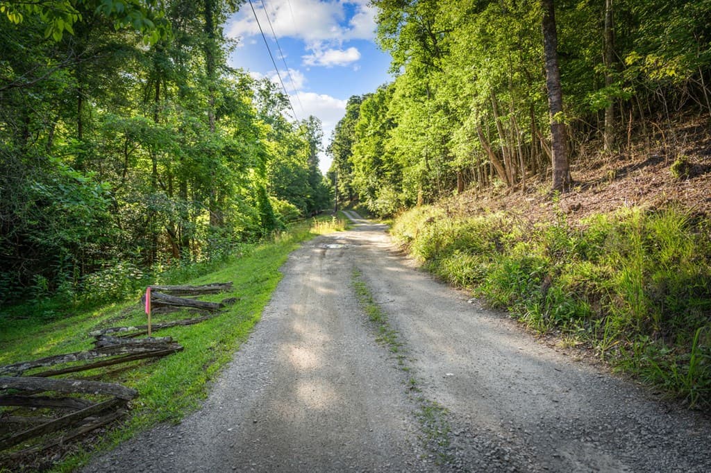 2.48 Acr Valley Lane, Mineral Bluff GA 30559 - Photo