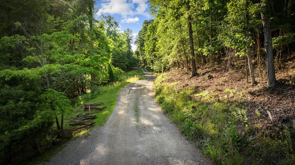 2.48 Acr Valley Lane, Mineral Bluff GA 30559 - Photo
