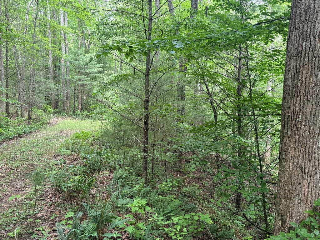 1 ac Spiva Cove Circle, Blairsville GA 30512 - Photo