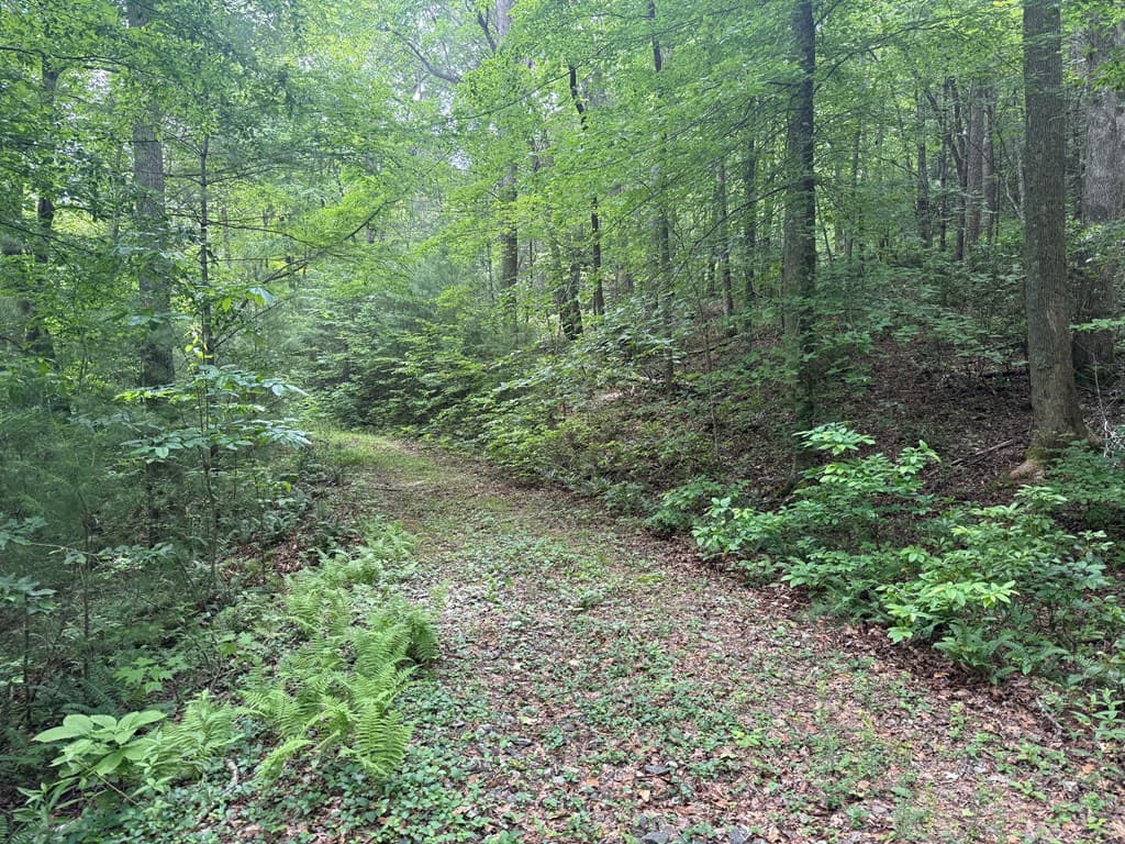 1 ac Spiva Cove Circle, Blairsville GA 30512 - Photo
