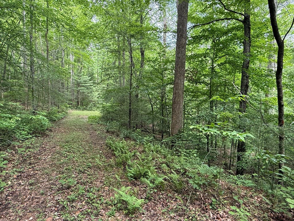 1 ac Spiva Cove Circle, Blairsville GA 30512 - Photo