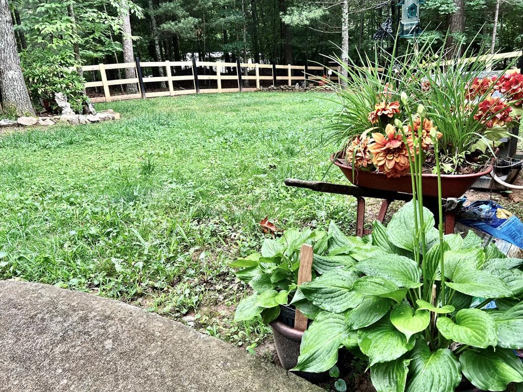 345 Acadia Drive, Ellijay GA 30540 - Photo