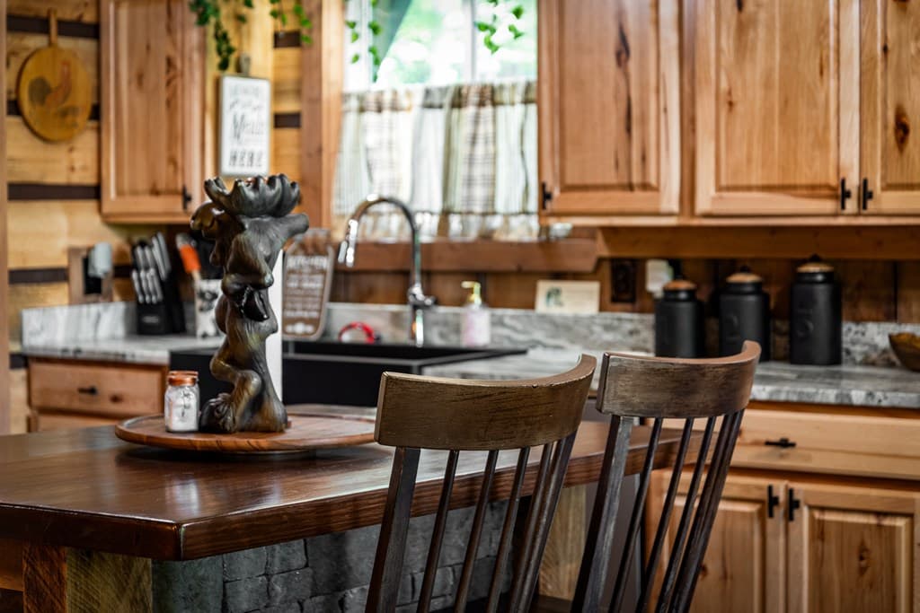 309 Elmwood Circle, Ellijay GA 30540 - Photo
