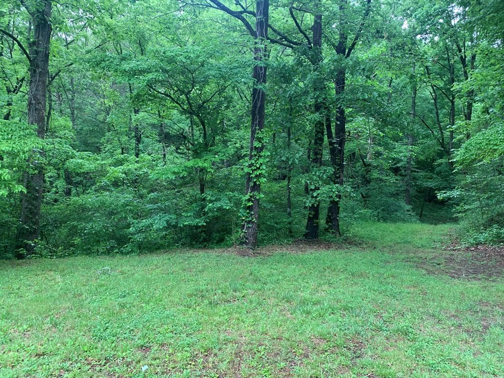 805 Bethabara Road, Hayesville NC 28904 - Photo