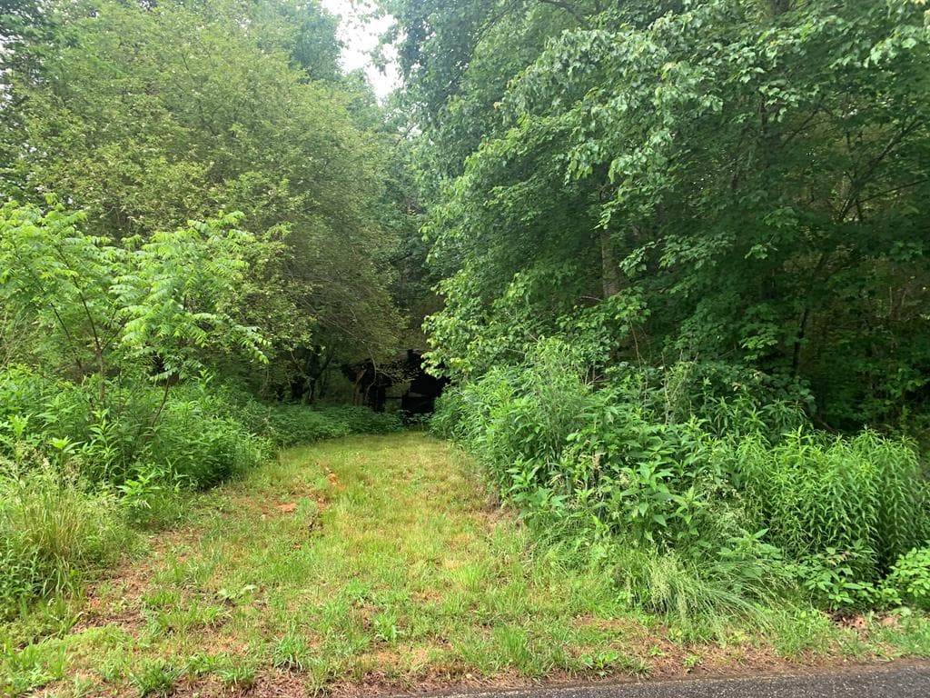 805 Bethabara Road, Hayesville NC 28904 - Photo
