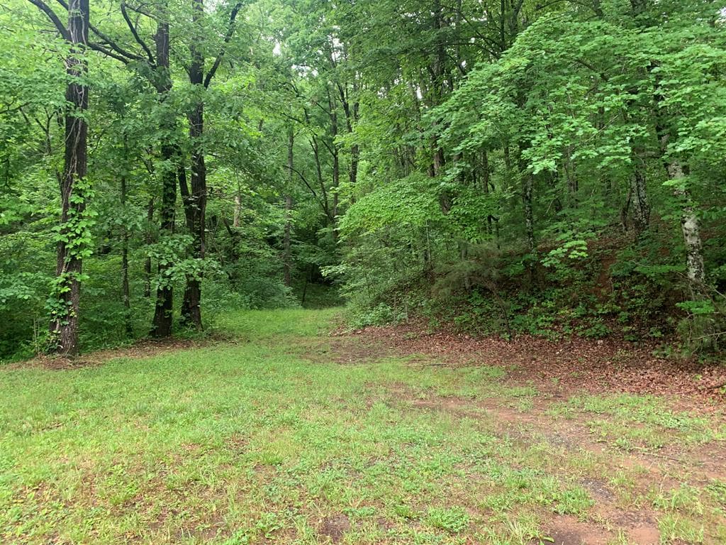 805 Bethabara Road, Hayesville NC 28904 - Photo