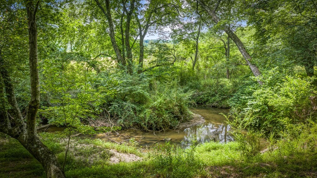 421 Twin Creeks, Blue Ridge GA 30513 - Photo