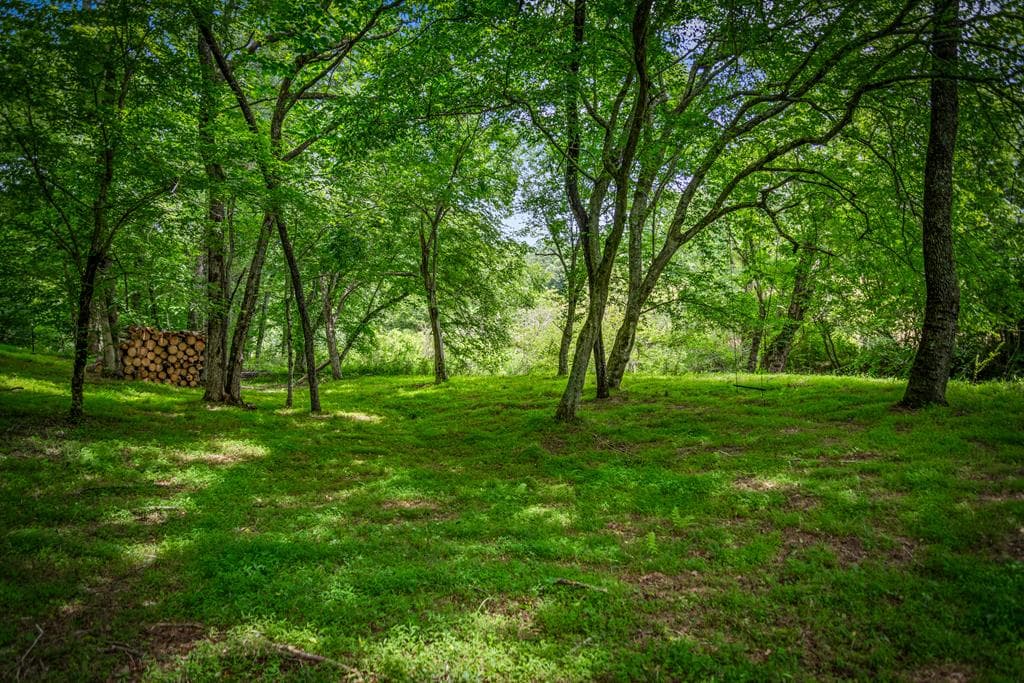 421 Twin Creeks, Blue Ridge GA 30513 - Photo