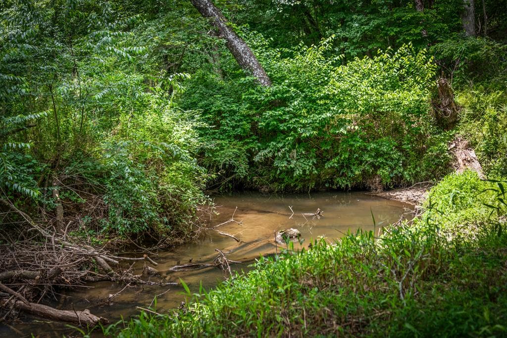 421 Twin Creeks, Blue Ridge GA 30513 - Photo