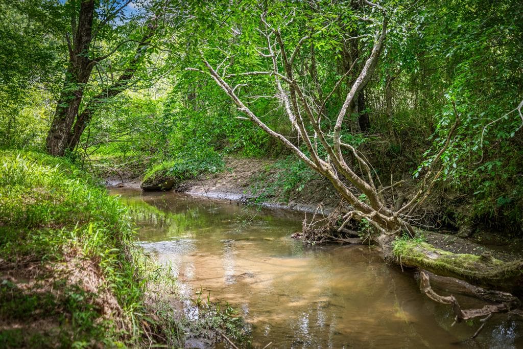 421 Twin Creeks, Blue Ridge GA 30513 - Photo
