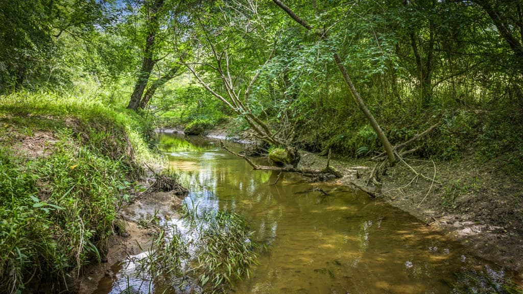 421 Twin Creeks, Blue Ridge GA 30513 - Photo