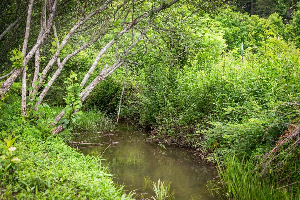 1898 Kimsey Dairy Road, Turtletown TN 37391 - Photo
