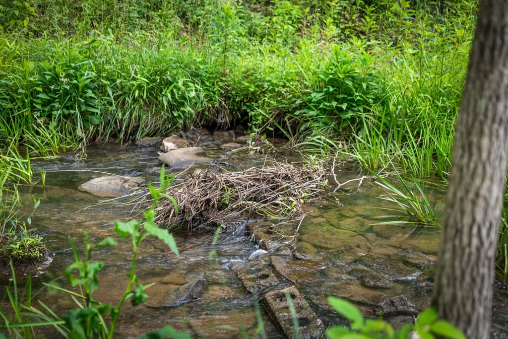 1898 Kimsey Dairy Road, Turtletown TN 37391 - Photo